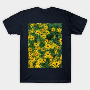 Yellow Daisies T-Shirt